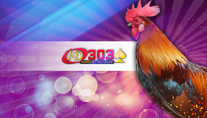Promo Agen Sabung Ayam ID303 -